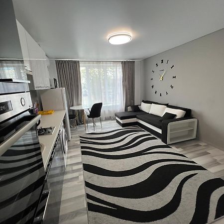 Apartamet chirie Edinet Exterior foto
